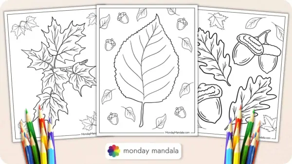 Páginas para colorear de otoño con hojas de arce, bellotas y una gran hoja central. ¡Perfecto para una actividad de hoja de otoño colorear!